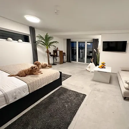 Apartment Modern Unit With Ocean View *