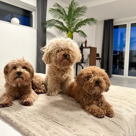 Lägenhet Modern Unit With Ocean View - 1 Komarna