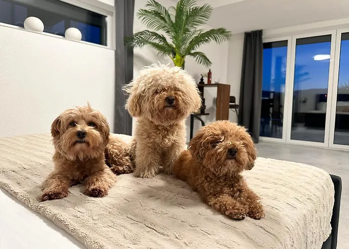 Apartamento Modern Unit With Ocean View - 1 Komarna